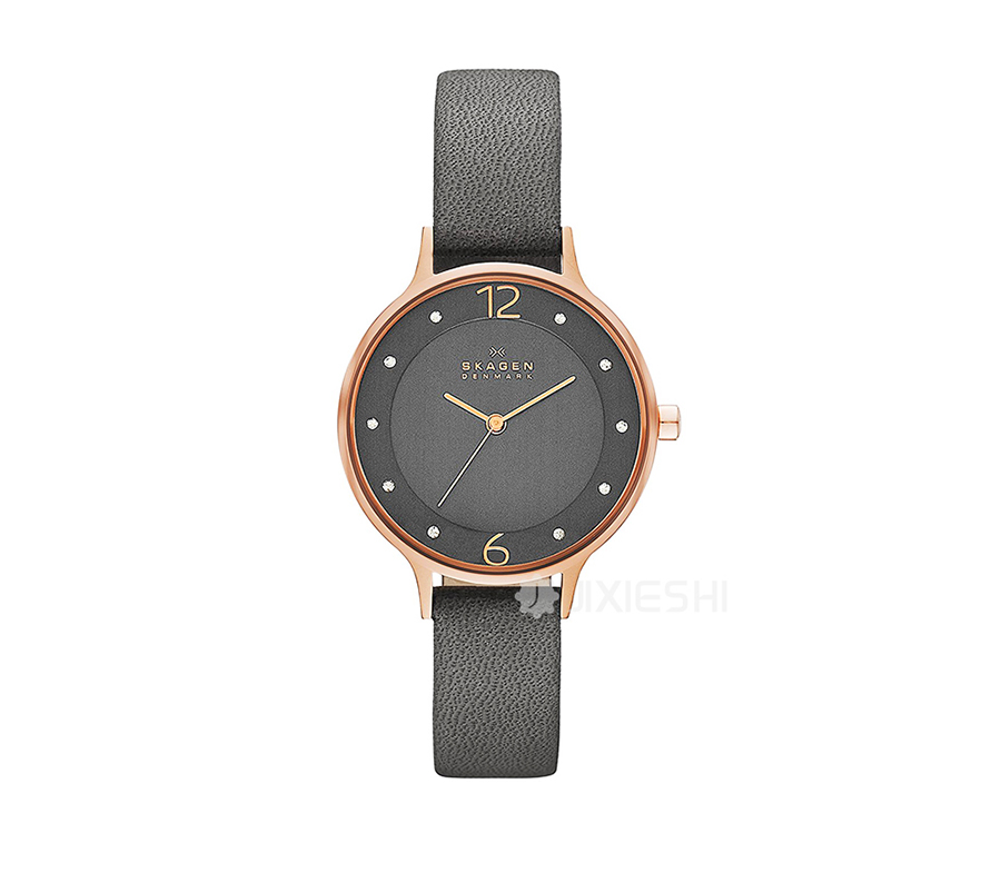 SKAGEN DENMARK ʫʯӢŮʿֱSKW2267 Ȿԭ