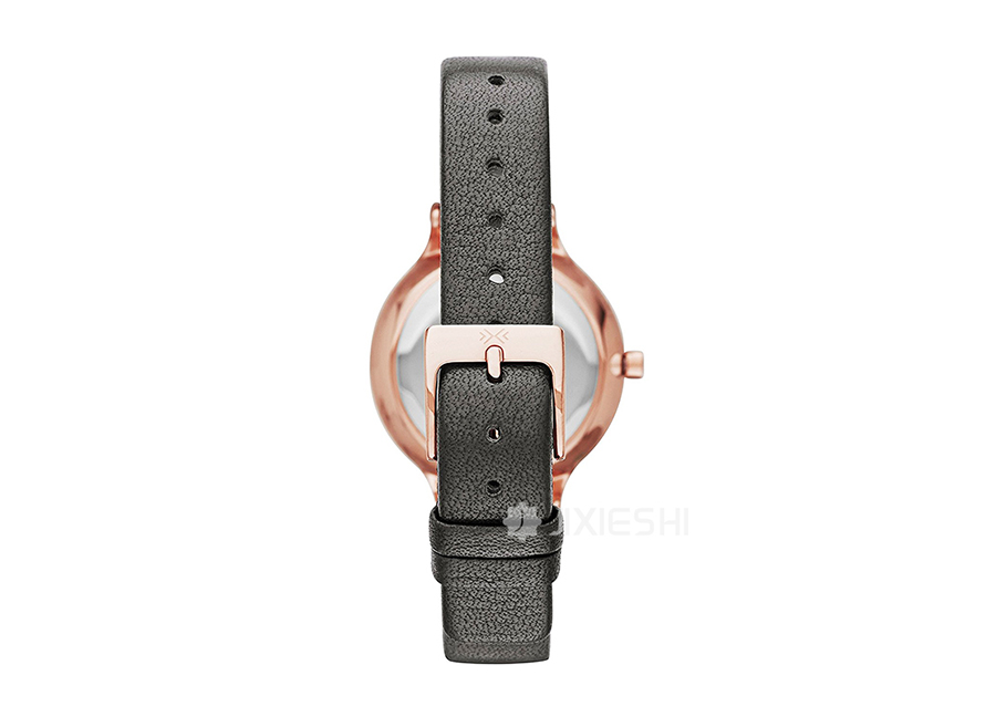 SKAGEN DENMARK ʫʯӢŮʿֱSKW2267 Ȿԭ