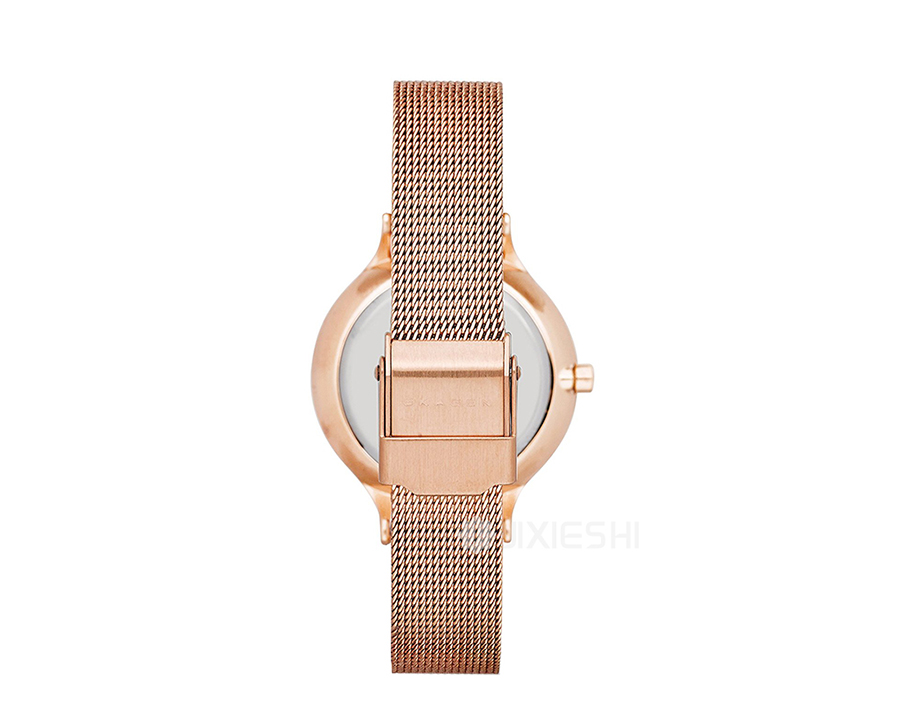 SKAGEN DENMARK ʫʯӢŮʿֱSKW2151 Ȿԭ
