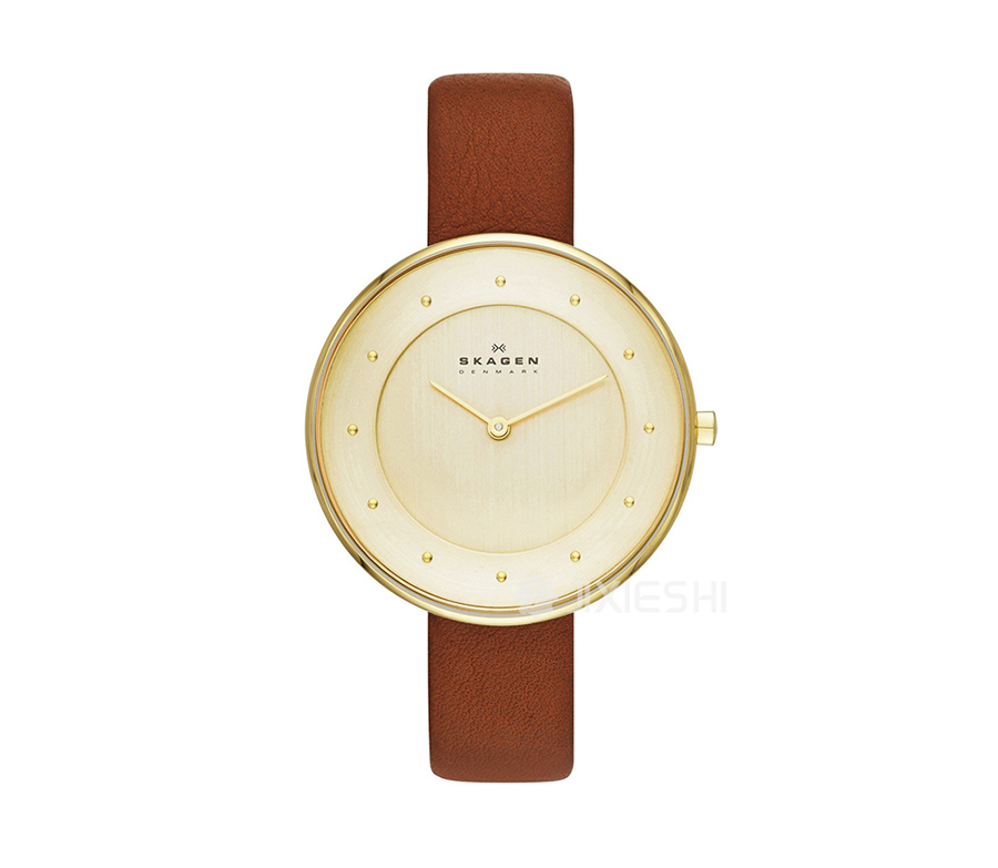 SKAGEN DENMARK ʫʯӢŮʿֱSKW2138 Ȿԭ