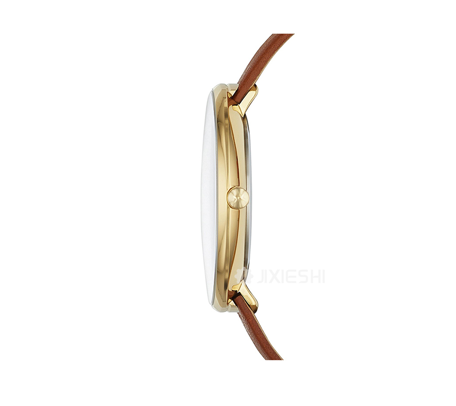 SKAGEN DENMARK ʫʯӢŮʿֱSKW2138 Ȿԭ