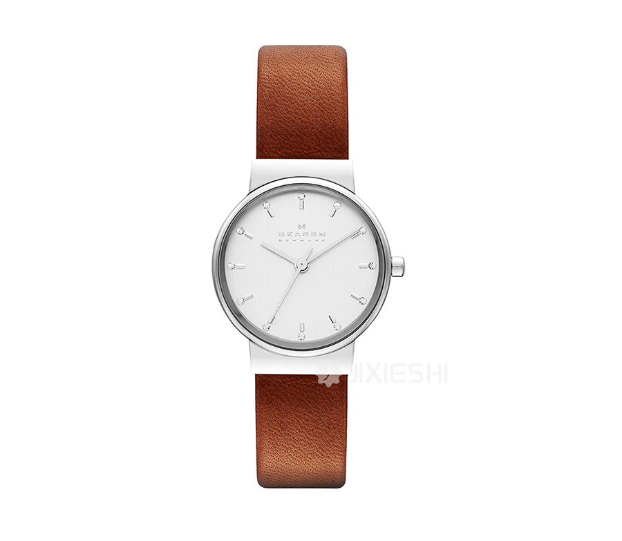 SKAGEN DENMARK ʫʯӢŮʿֱSKW2192 Ȿԭ