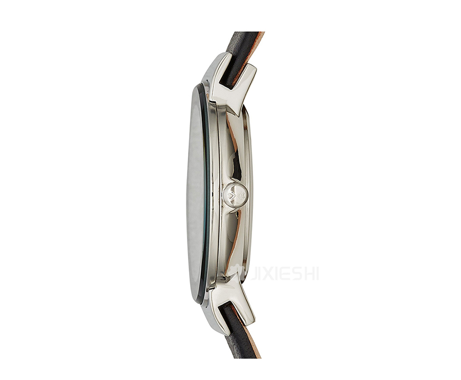 SKAGEN DENMARK ʫʯӢŮʿֱ358SSLB Ȿԭ