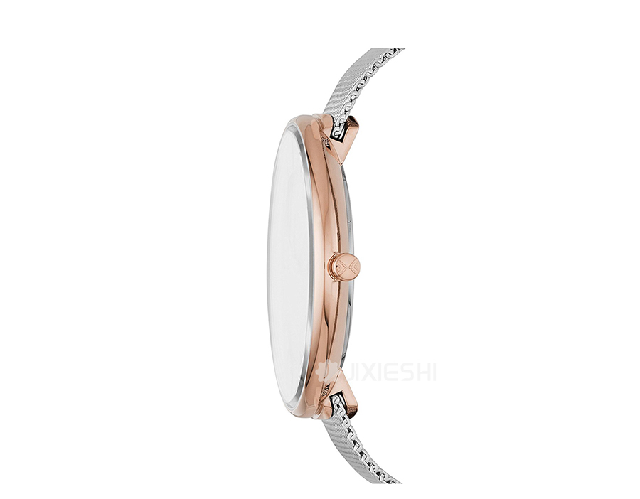 SKAGEN DENMARK ʫʯӢŮʿֱSKW2583 Ȿԭ