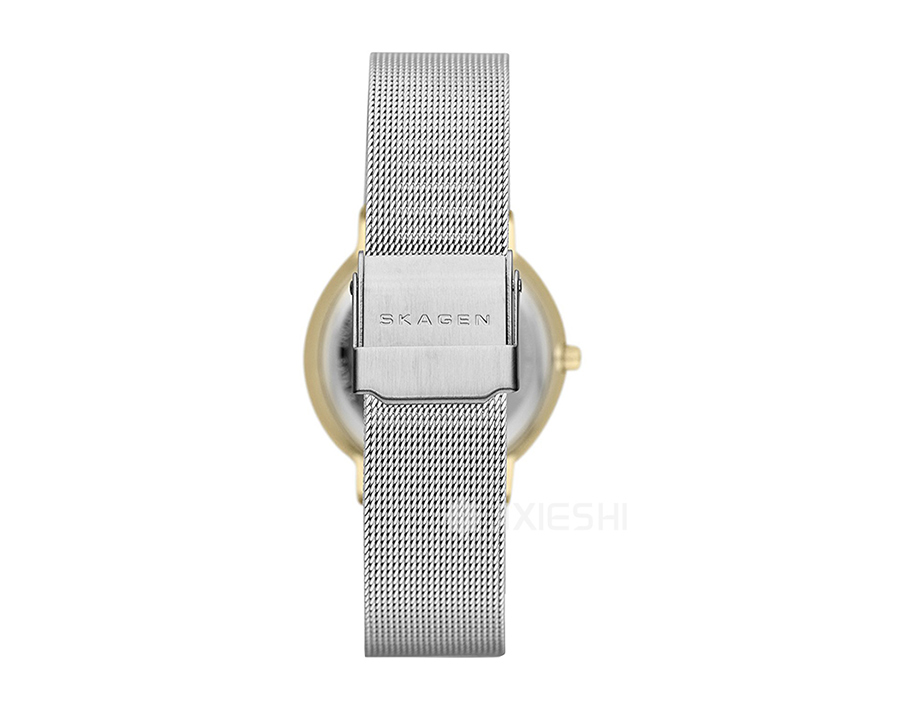 SKAGEN DENMARK ʫʯӢŮʿֱSKW2076 Ȿԭ