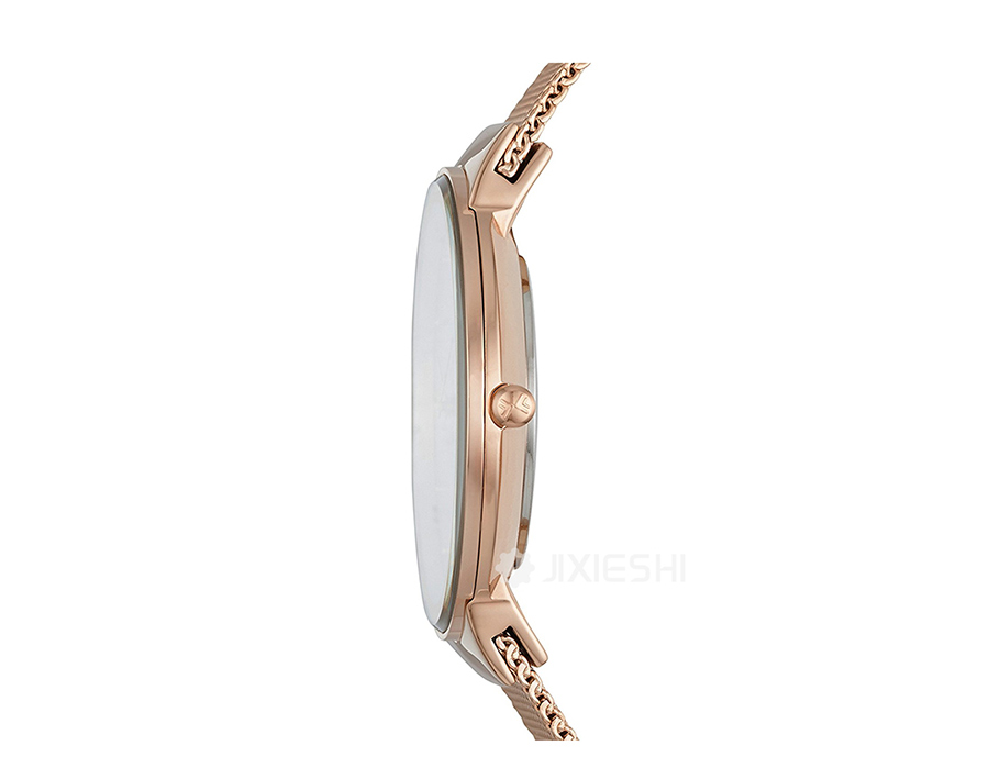 SKAGEN DENMARK ʫʯӢŮʿֱSKW2518 Ȿԭ