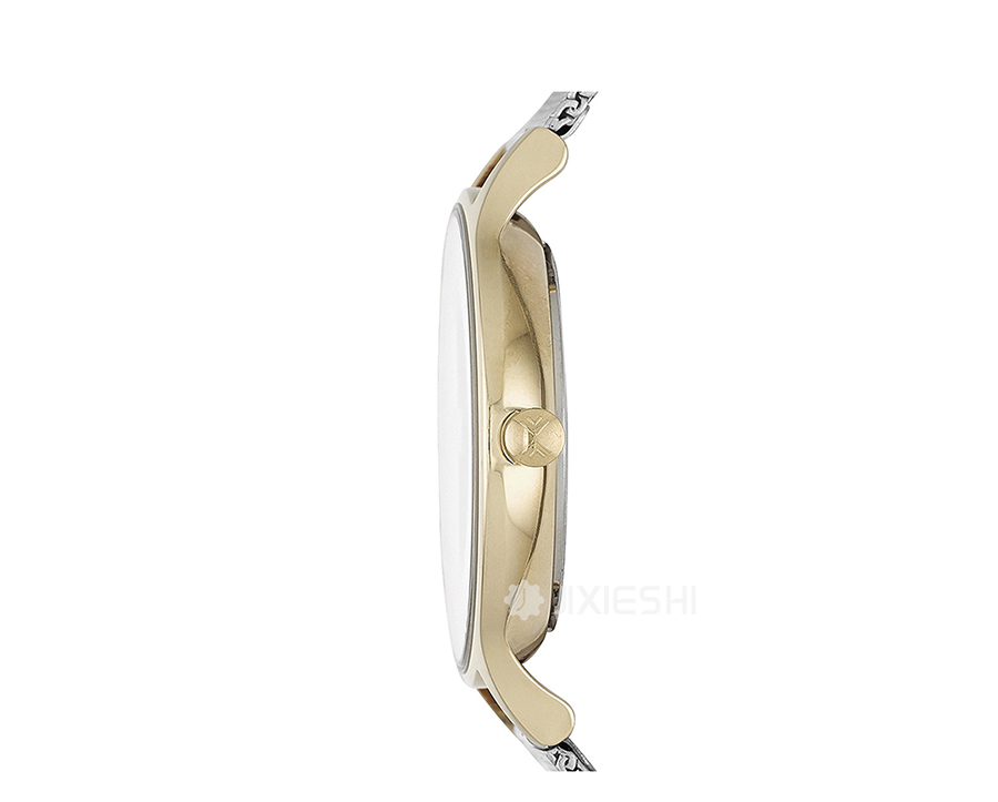 SKAGEN DENMARK ʫʯӢŮʿֱSKW2340 Ȿԭ