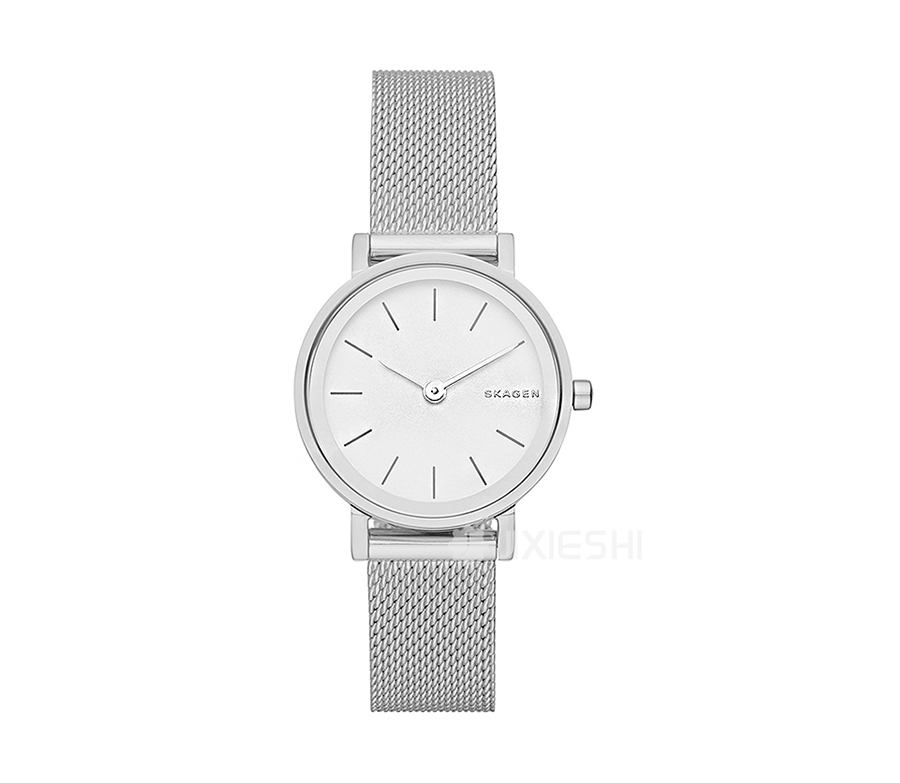 SKAGEN DENMARK ʫʯӢŮʿֱSKW2441 Ȿԭ