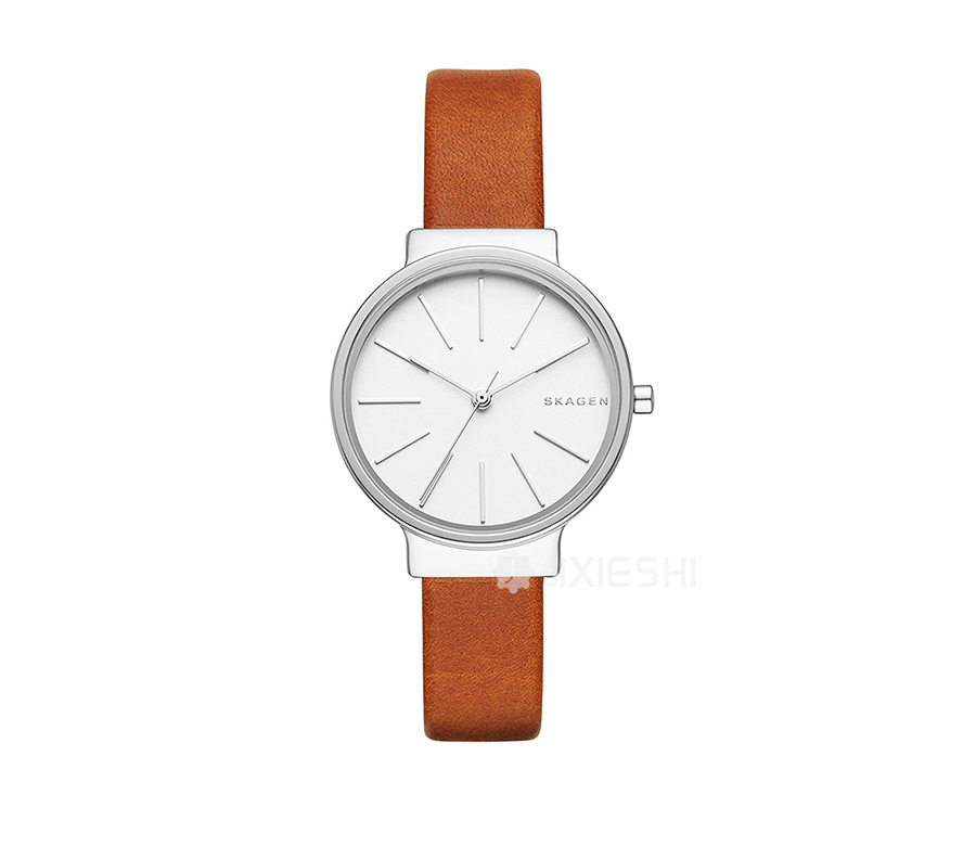 SKAGEN DENMARK ʫʯӢŮʿֱSKW2479 Ȿԭ