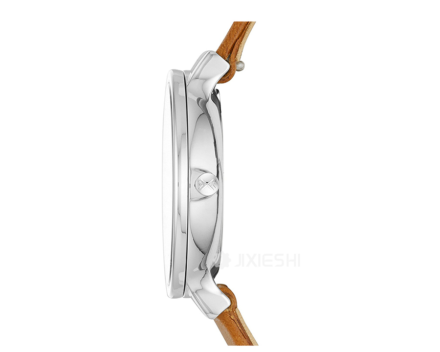 SKAGEN DENMARK ʫʯӢŮʿֱSKW2479 Ȿԭ