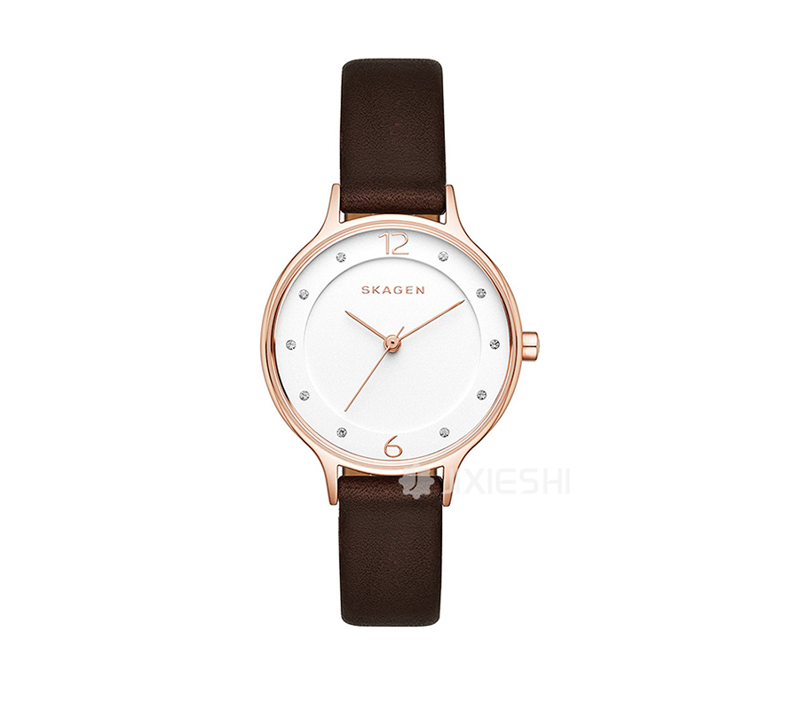 SKAGEN DENMARK ʫʯӢŮʿֱSKW2472 Ȿԭ