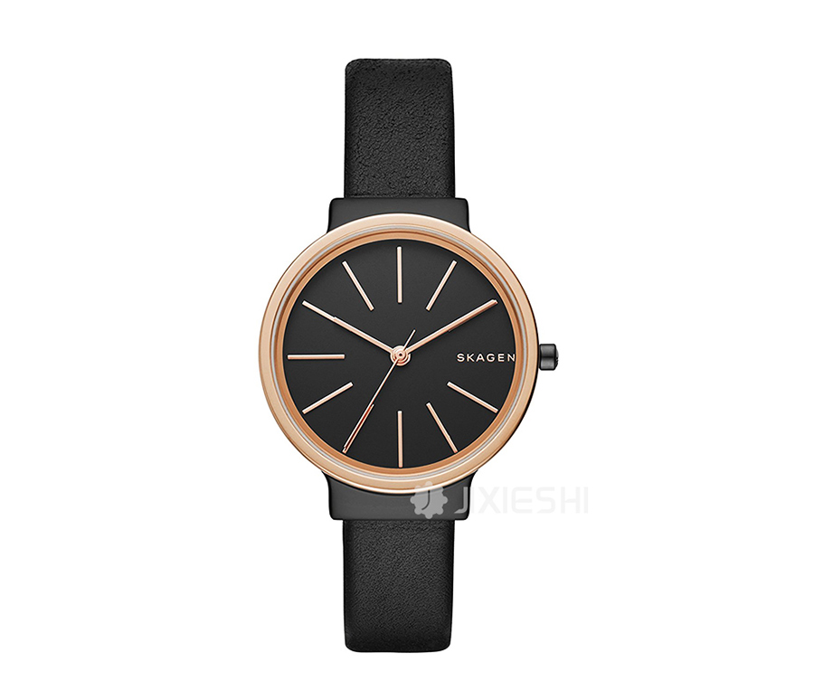 SKAGEN DENMARK ʫʯӢŮʿֱSKW2480 Ȿԭ