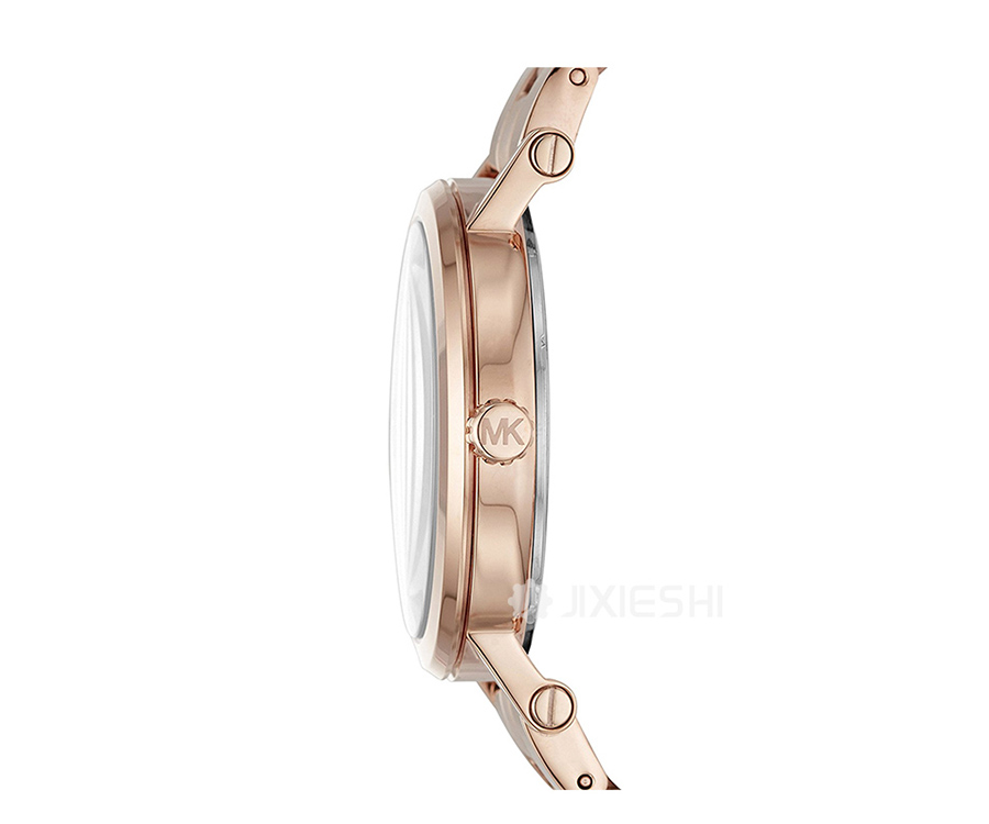 MICHAEL KORS 美国迈克高仕石英女士手表MK3561 海外本土原版