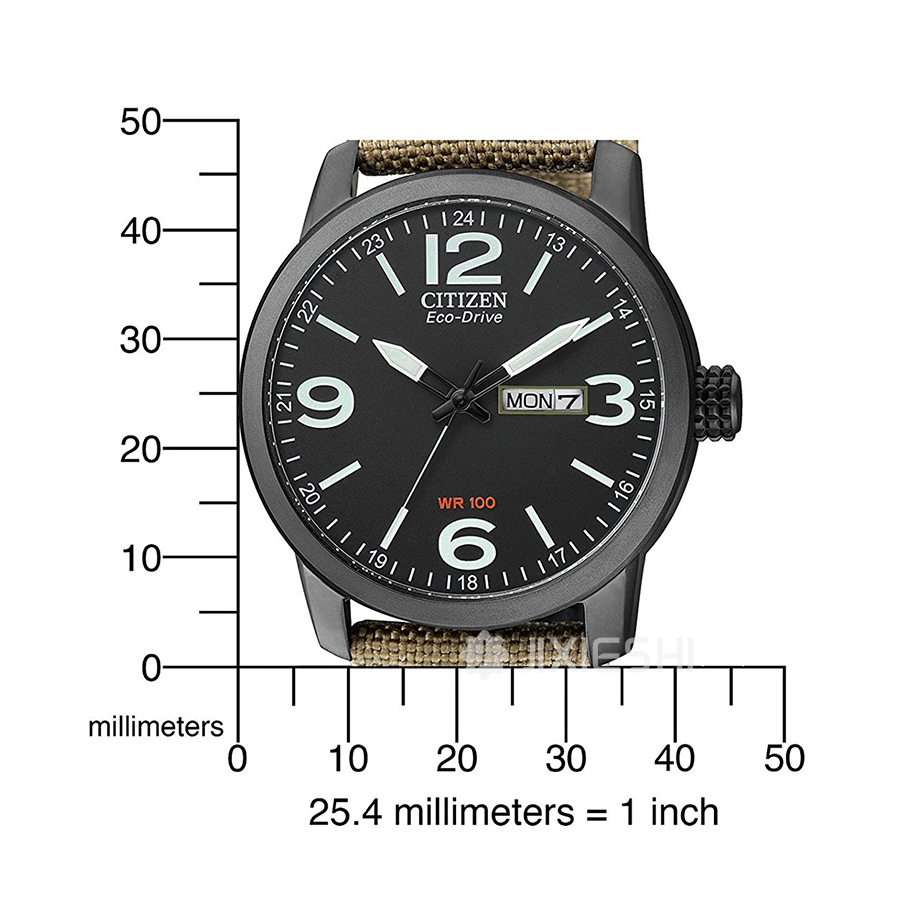 CITIZEN ձǹ⶯ʿֱEU1950-07A Ȿԭ