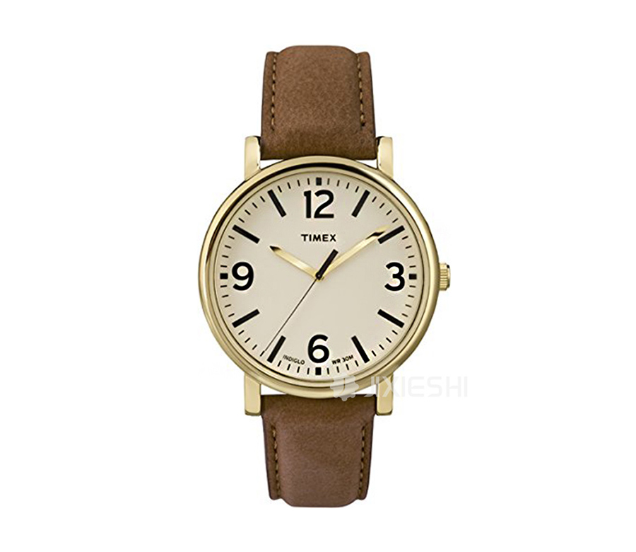 TIMEX 美国天美时石英中性手表T2P527 海外本土原版