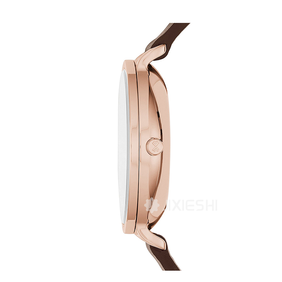 SKAGEN DENMARK ʫʯӢŮʿֱSKW2356 Ȿԭ