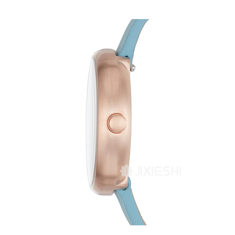 SKAGEN DENMARK ʫʯӢŮʿֱSKW2621 Ȿԭ