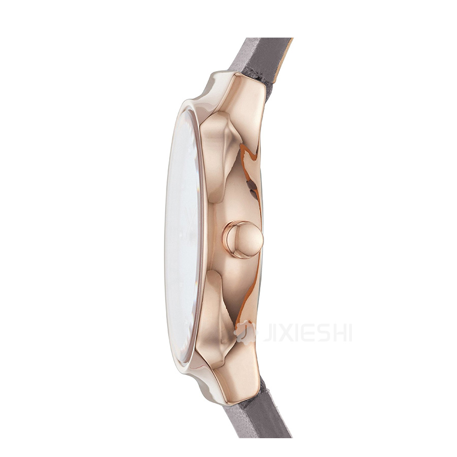 SKAGEN DENMARK ʫʯӢŮʿֱSKW2669 Ȿԭ