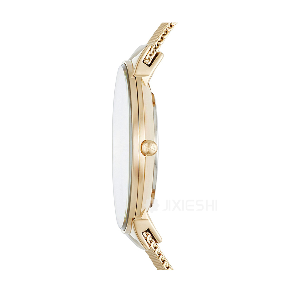 SKAGEN DENMARK ʫʯӢŮʿֱSKW2519 Ȿԭ