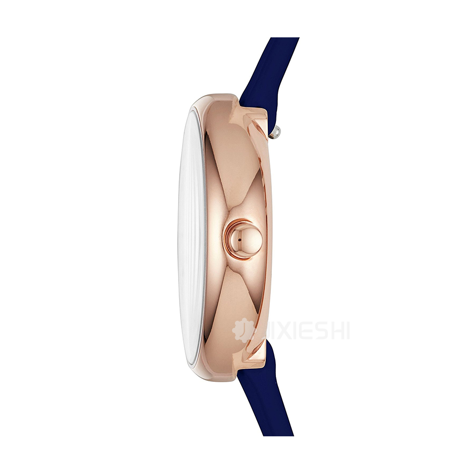 SKAGEN DENMARK ʫʯӢŮʿֱSKW2592 Ȿԭ