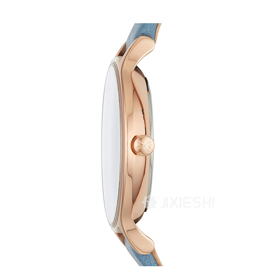 SKAGEN DENMARK ʫʯӢŮʿֱSKW2497 Ȿԭ