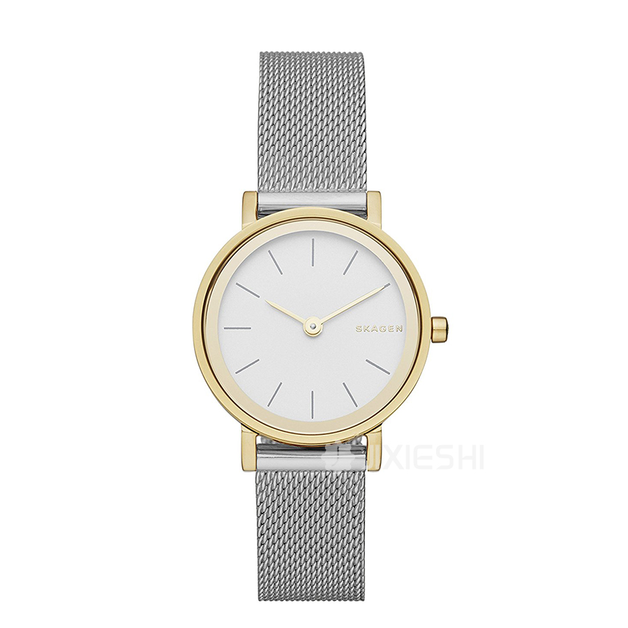 SKAGEN DENMARK ʫʯӢŮʿֱSKW2445 Ȿԭ