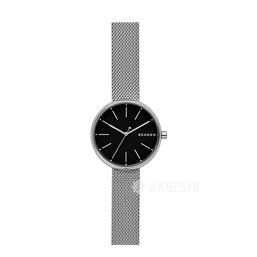 SKAGEN DENMARK ʫʯӢŮʿֱSKW2596 Ȿԭ