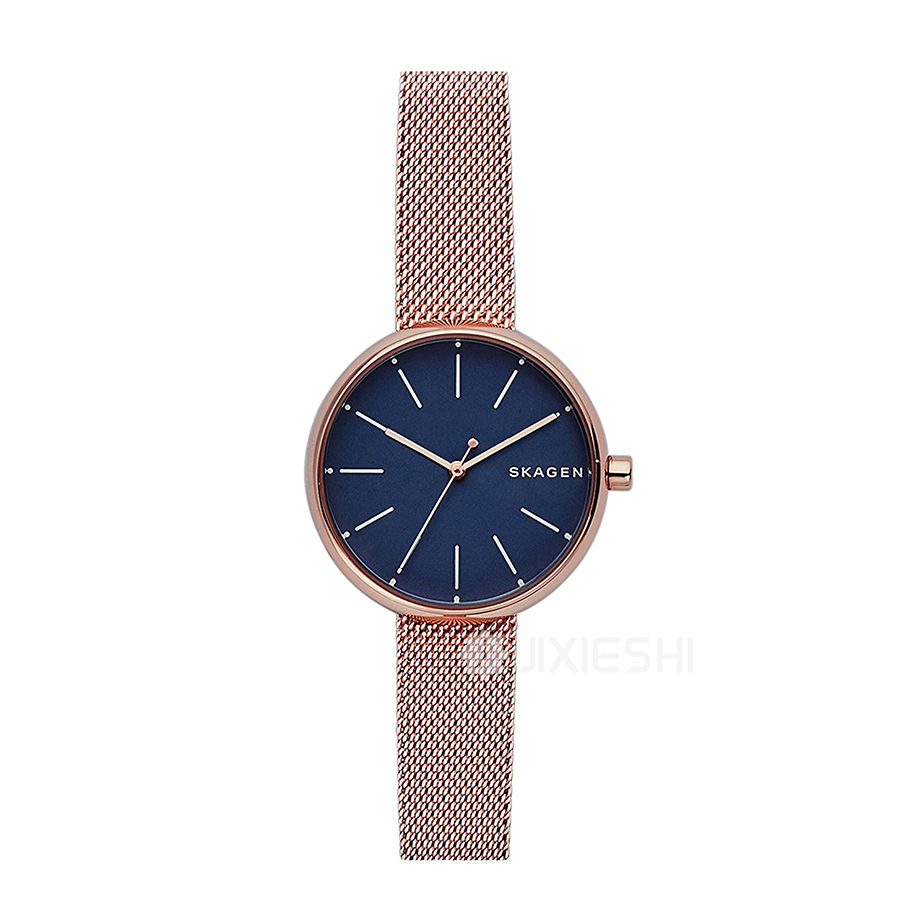 SKAGEN DENMARK ʫʯӢŮʿֱSKW2593 Ȿԭ