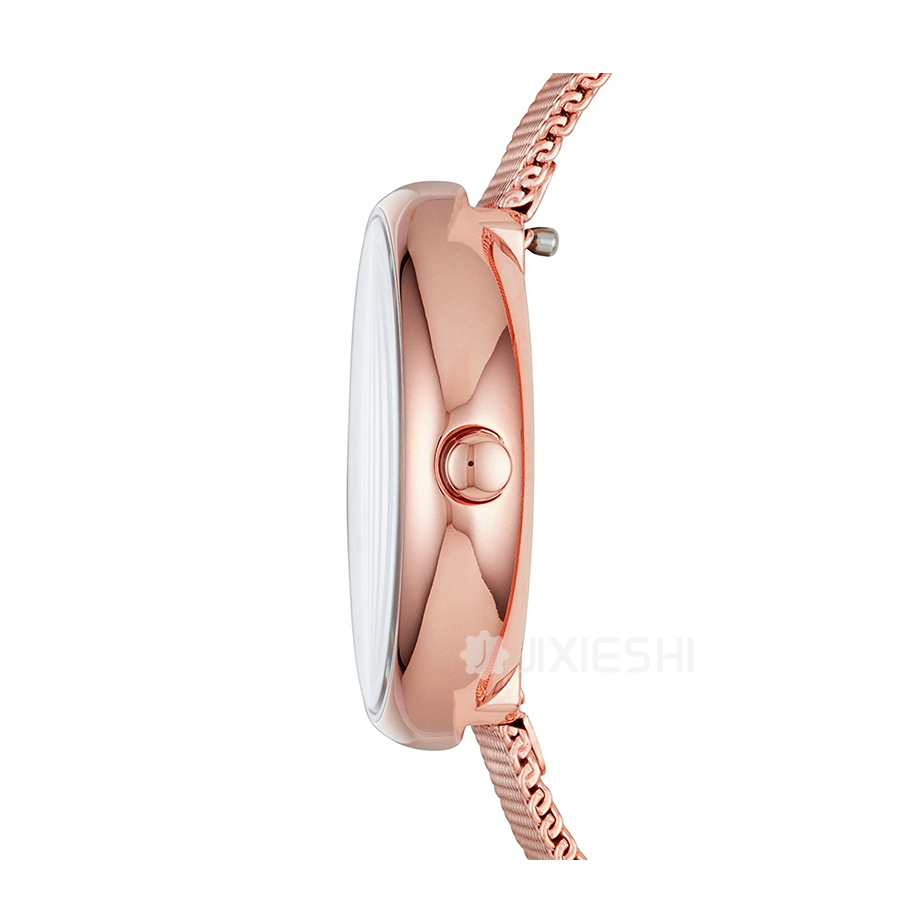 SKAGEN DENMARK ʫʯӢŮʿֱSKW2593 Ȿԭ