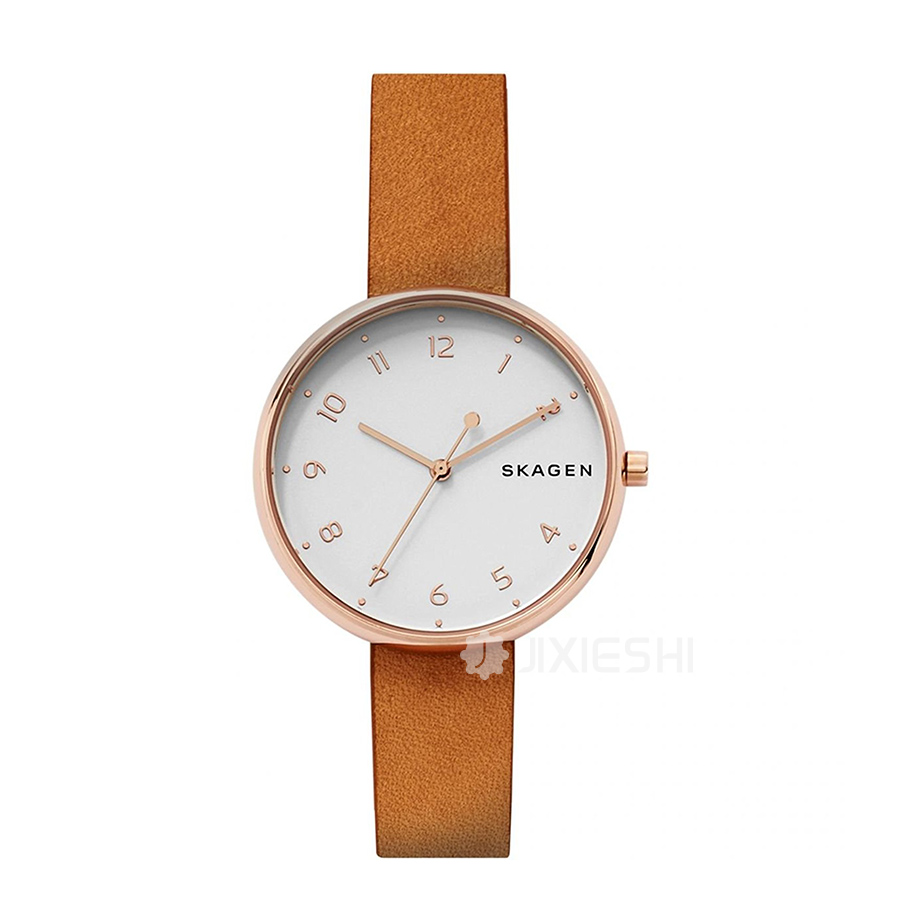 SKAGEN DENMARK 丹麦诗格恩石英女士手表SKW2624 海外本土原版