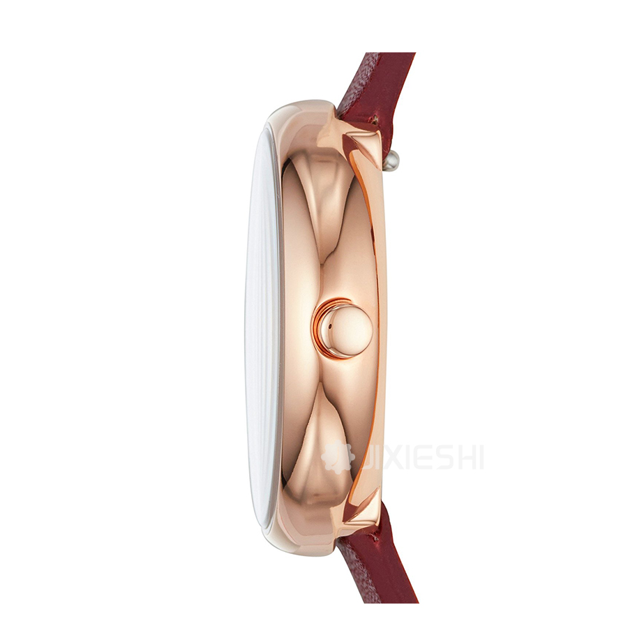 SKAGEN DENMARK ʫʯӢŮʿֱSKW2646 Ȿԭ