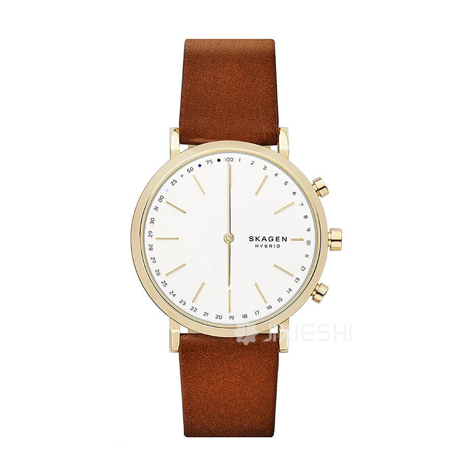 SKAGEN DENMARK 丹麦诗格恩石英女士手表SKT1206 海外本土原版