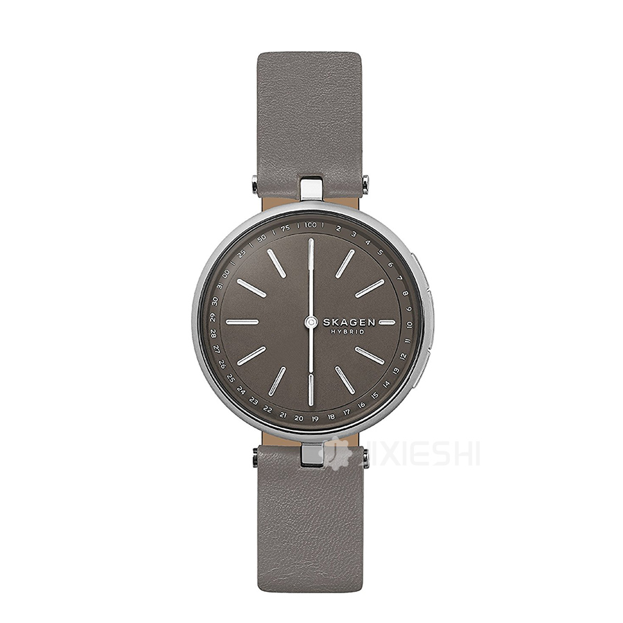 SKAGEN DENMARK ʫʯӢŮʿֱSKT1401 Ȿԭ