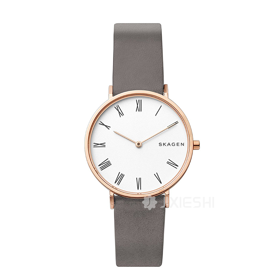 SKAGEN DENMARK ʫʯӢŮʿֱSKW2674 Ȿԭ