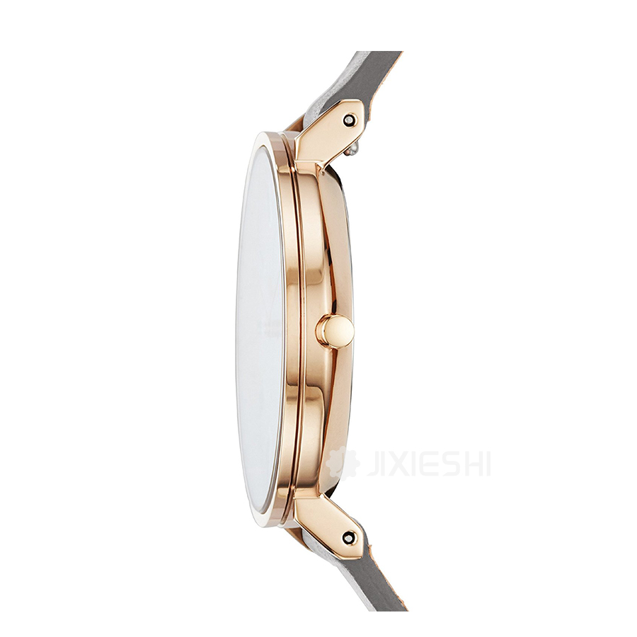 SKAGEN DENMARK ʫʯӢŮʿֱSKW2674 Ȿԭ