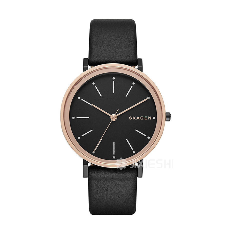 SKAGEN DENMARK ʫʯӢŮʿֱSKW2490 Ȿԭ