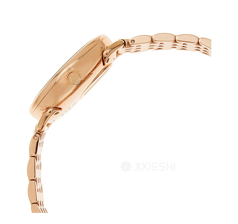 FOSSIL 美国FOSSIL石英女士手表ES3713 海外本土原版