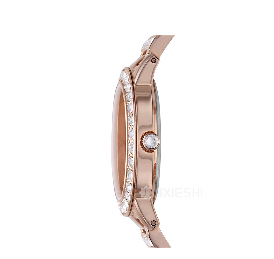FOSSIL 美国FOSSIL石英女士手表ES3020 海外本土原版