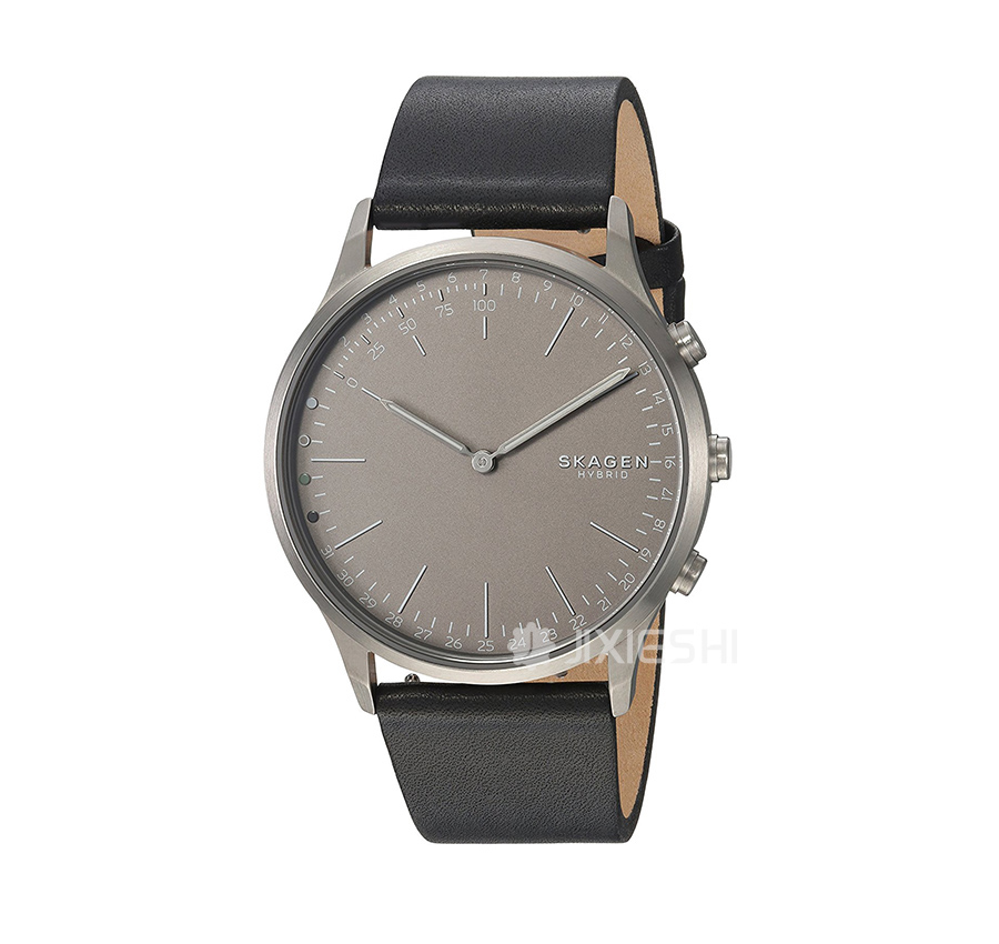 SKAGEN DENMARK ʫʯӢʿֱSKT1203 Ȿԭ