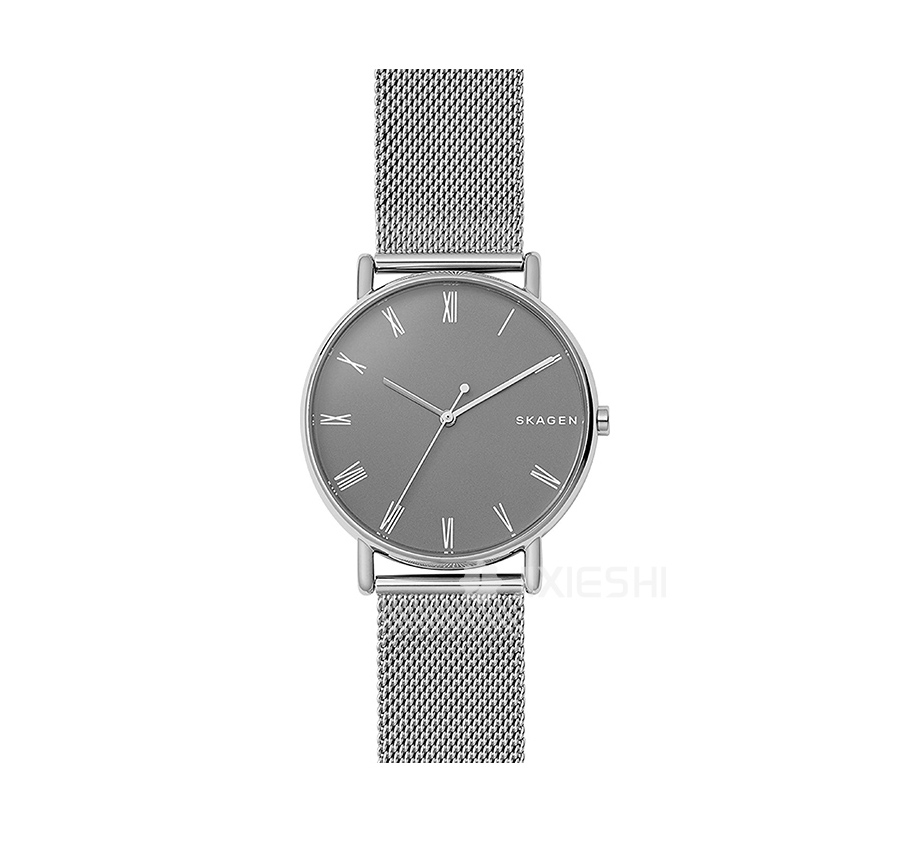 SKAGEN DENMARK ʫʯӢʿֱSKW6428 Ȿԭ