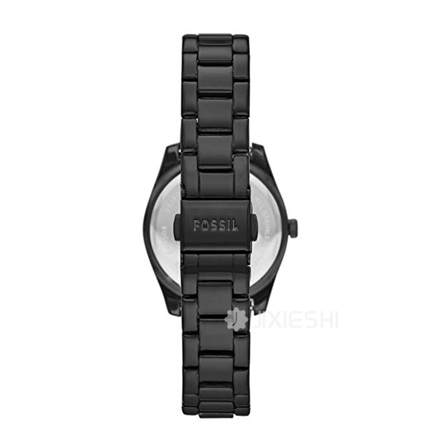 FOSSIL FOSSILŮʿʯӢES4508 Ȿԭ